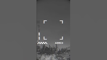 Most unlucky mini ever #playrust #rust #gaming