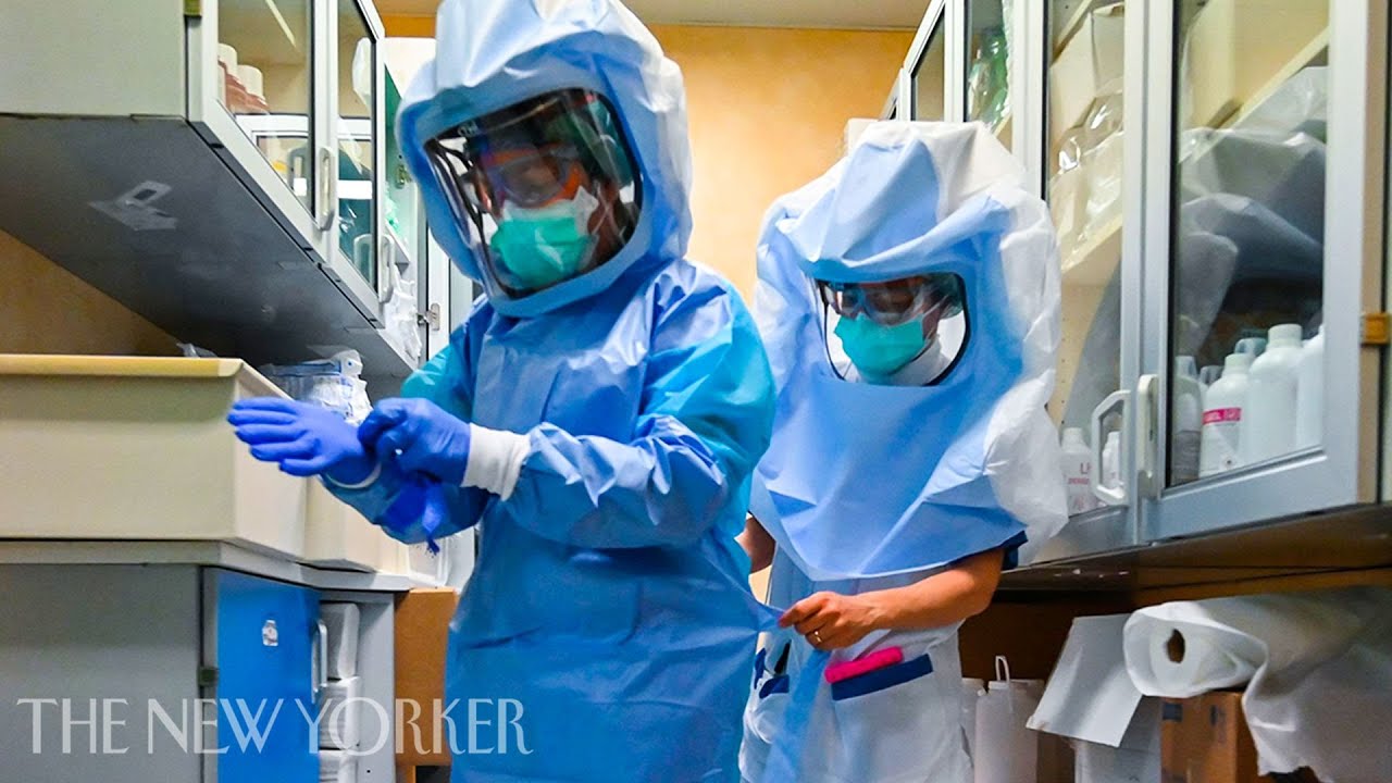 What Europe's Future Holds Post-Coronavirus | The New Yorker