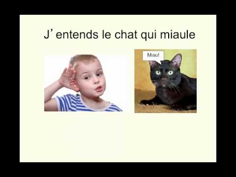 Y A Un Chat Charlotte Diamond Youtube