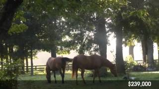 Real estate for sale in Nicholasville Kentucky - MLS# 452034