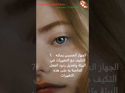 الجهاز العصبي لجسم الانسان حقائق شامله هل تعلم