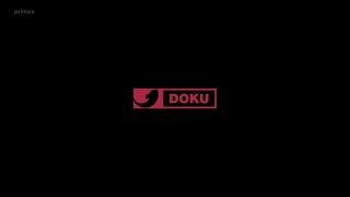 Pion Distributionkabel Eins Dokuwildbear Entertainment 2020