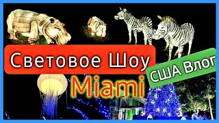 США Световое шоу в Майами Обзор отеля по пути домой 