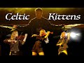 Celtic Kittens - Joslin - (Ronan Hardiman Cover, Celtic Tiger)