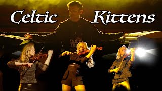 Video thumbnail of "Celtic Kittens - Joslin - (Ronan Hardiman Cover, Celtic Tiger)"