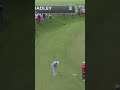 Keegan Bradley from 71 ft for birdie 😱 #shorts #golf #pgatour