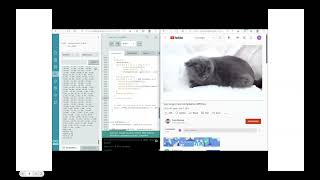 cat sound classification screenshot 4
