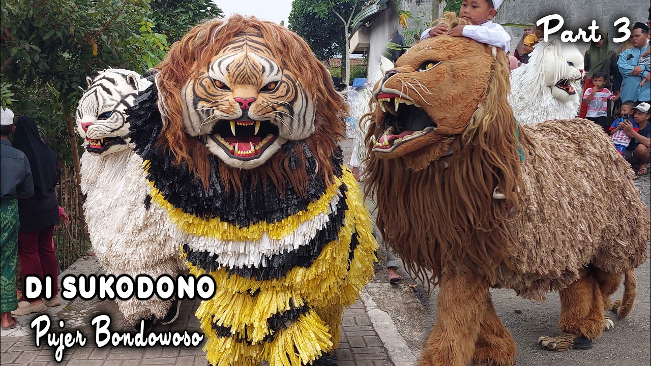 KIRAB CAN MACANAN DAN DRUMBAND SINGO MANGGALA DI SUKODONO PUJER BONDOWOSO PART3.mp4