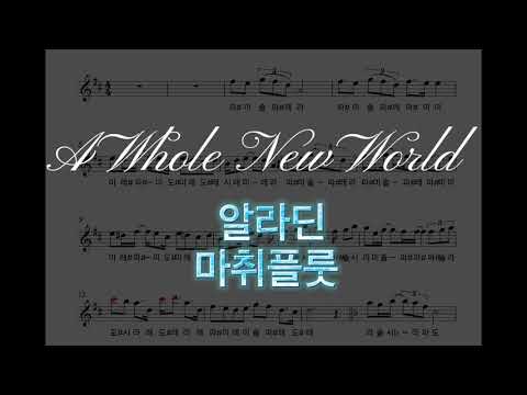 A Whole New World (Flute) - 알라딘ost
