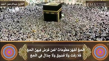 ﴿الْحَجُّ أَشْهُرٌ مَعْلُومَاتٌ﴾ تلاوة عذبه لآيات الحج من سورة البقرة | القاري عبدالرحمن احمد