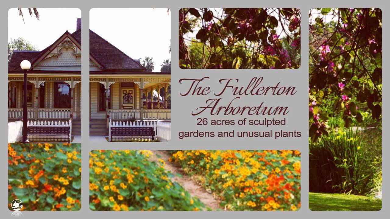 Fullerton California - Prudential California Realty - Erica Jeong