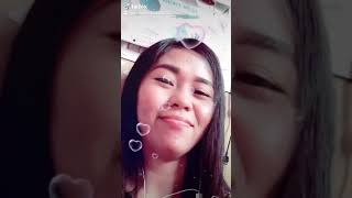 if birds could fly band 16