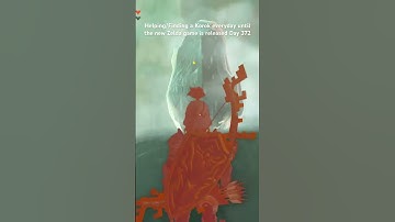 Helping/Finding a Korok everyday until the new Zelda game is released Day 372