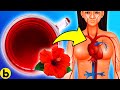 Drink Hibiscus Tea Every Day For 1 MONTH, See What Happens To Your Body!
