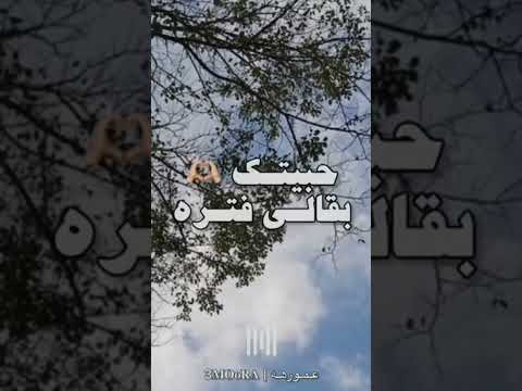 بت انتي المطرقه
