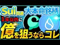 【完全保存版】SUIスイ関連本命トークン「Cetus」で億を狙う！根拠～仕込み時まで”億のロードマップ”を徹底解説【仮想通貨】