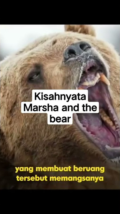 Kisah Marsha and Bear #kisahnyata #misteri #shorts