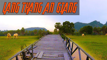 Chỉ có ở An Giang - những cánh đồng thốt nốt | ÂnMuốnĐiChơi