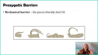 How Speciation Happens - Step 2