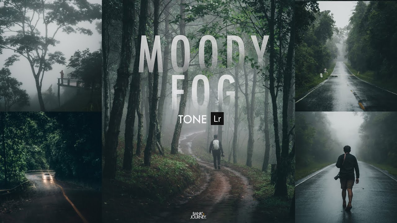 แต่ง ภาพ แนว ๆ  Update New  แต่งรูปบนมือถือโทน Moody Fog ไว้ใช้หน้าหนาว และการใช้preset ฟรีบน Lightroom