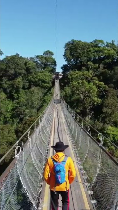 Jembatan Gantung Viral di Rancabali Ciwidey