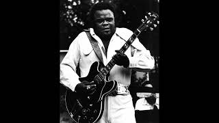 Watch Freddie King Stormy Monday video