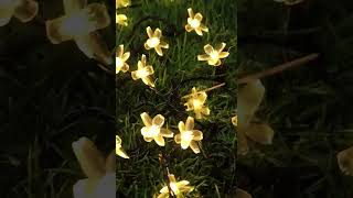 Уличная гирлянда на солнечной батарее Solar Powered Outdoor Garland #украшения #gardenlights #shots