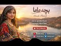 آهنگ جدید بچه ماما شاد و سوچه هراتی     