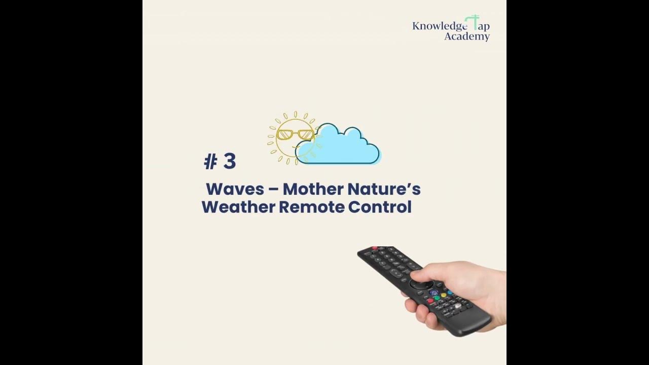 🌊Surf’s up for some awesome Trivia on Physics Waves! 🌊 YouTube