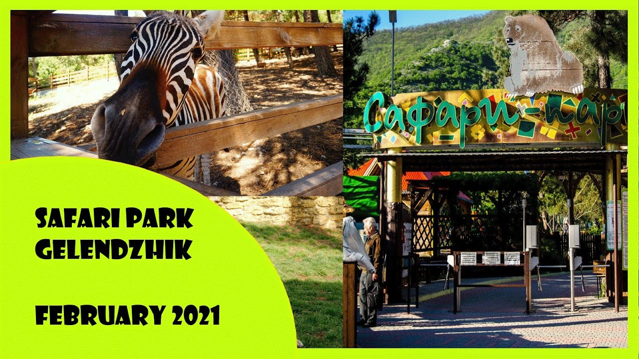 Карта сафари парка геленджик