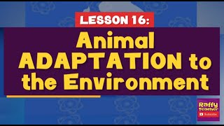 ANIMAL ADAPTATION TO THE ENVIRONMENT - SCIENCE 4
