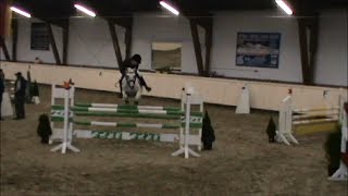 L-Springen Al Ashar Vollblut-Araber - (Arabian Horse - Speed-Jumping)