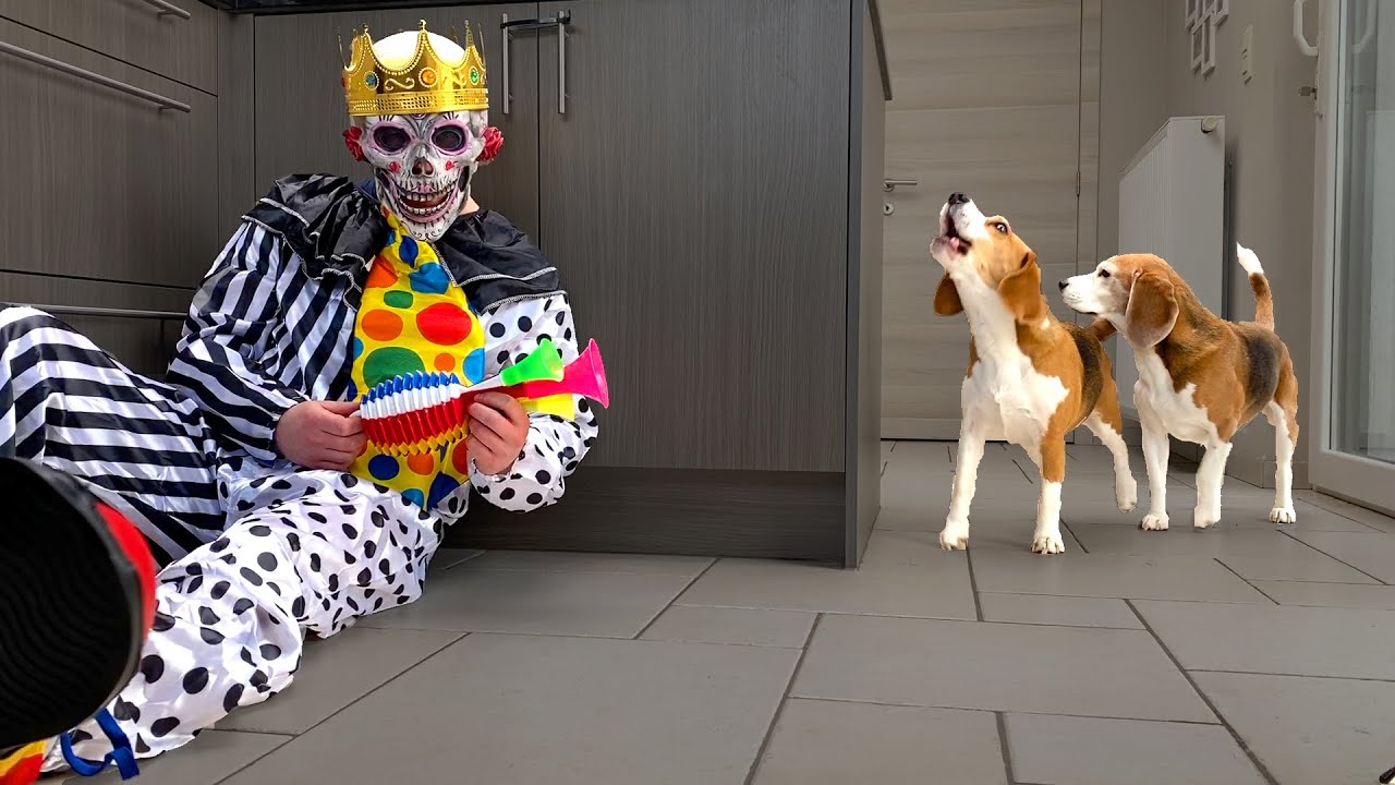 Killerclown vs Dogs PRANK Funny Dogs Louie & Marie YouTube