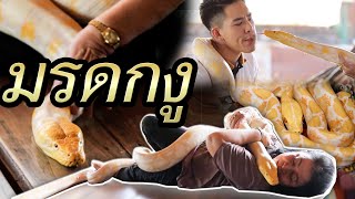 มรดกงู | ไทยทึ่ง WOW! THAILAND