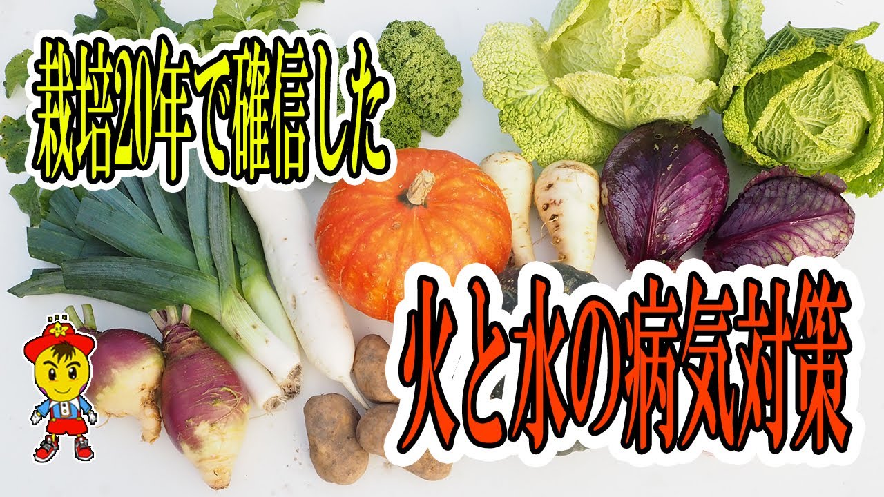Natural Farming 68] You won't get sick anymore! Understand the