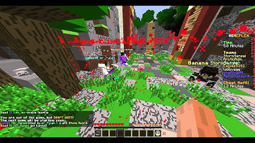 mineplex cross teamer in team sg