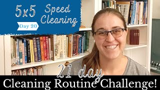 Day Twenty - 5x5 Cleaning Method || Cleaning Routine Challenge || Our Joyful House