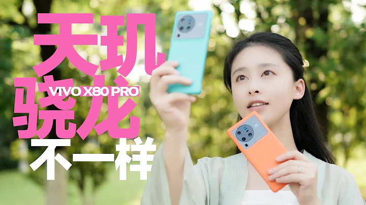 天璣怎麼可能跟驍龍一樣！？vivo X80 Pro天璣版和驍龍版影像對比，標準版和Pro版又差了什麼？ - 天天要聞