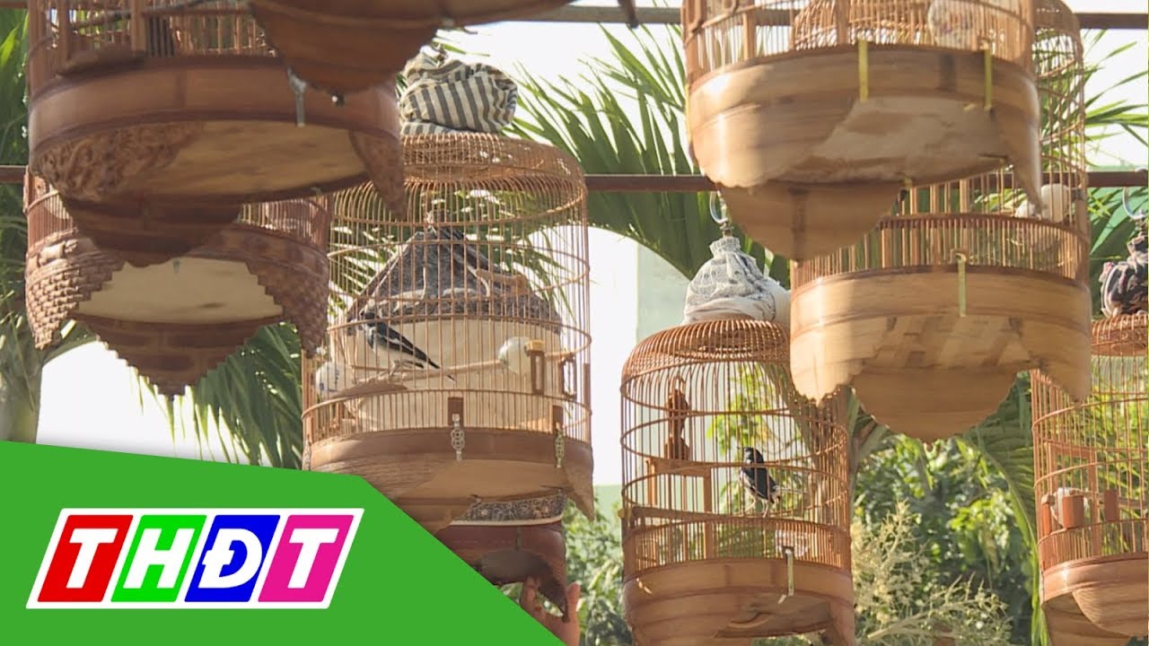 Thú chơi chim cảnh của người miền Tây | THDT