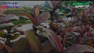 DJ TAKE ME TO CHURCH VIRAL TIKTOK SLOW BASS by Nanda Nafis Rmx