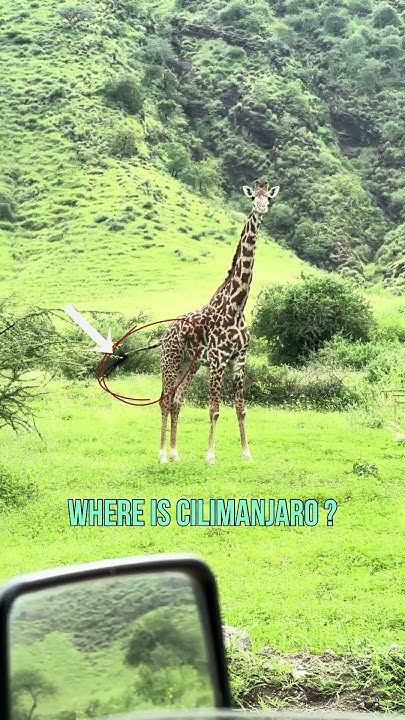 how-does-navigation-work-in-africa-our-quest-for-the-perfect-dj-set
