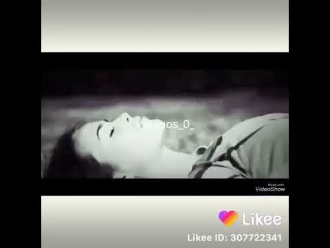 اليسا روحي وخداني حالات واتس اب رومانسيه