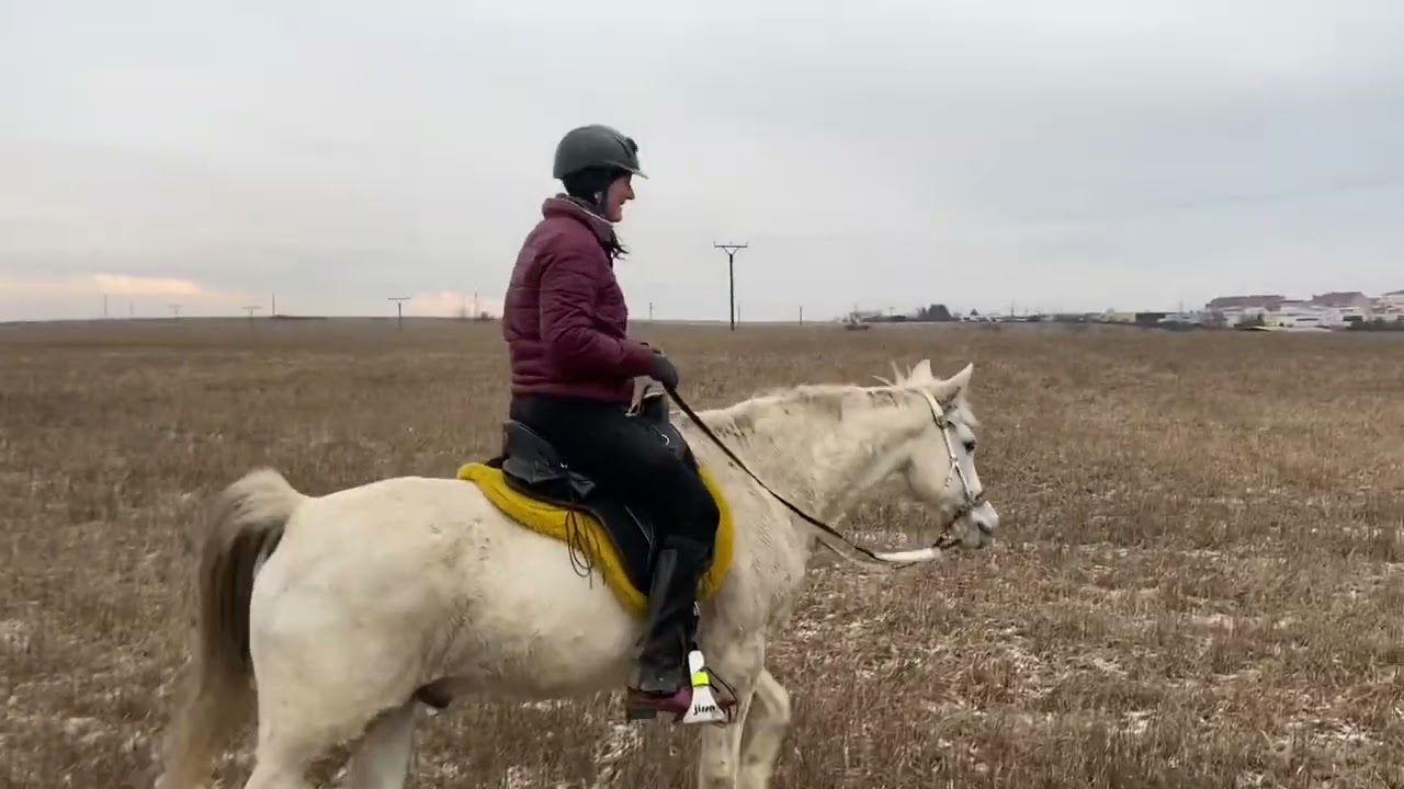 Je tady pondělí a je čas vzít koně procválat na pole 🏇🏇 Jaru a Šárka