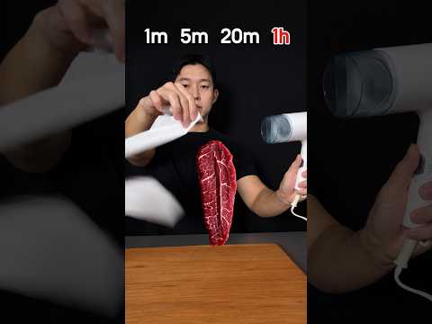 Beef vs Hair Dryer