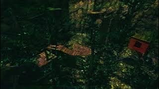 Unknown video-10956720￼