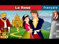 La Rose | Histoire Pour S'endormir | Histoire Pour Les Petit | Contes De Fées Français
