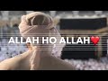 hasbi rabbi jallallah mafi qalbi ghairullah naat sharif 2018 whatsapp status