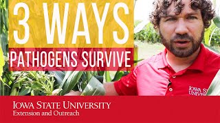 3 Ways Pathogens SURVIVE (with examples)