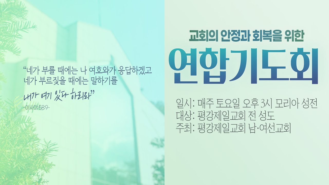 임산부 안정과 휴식을 위한 태교음악 ☁︎ 편안함에 도움이 되는 하프소리와 물소리