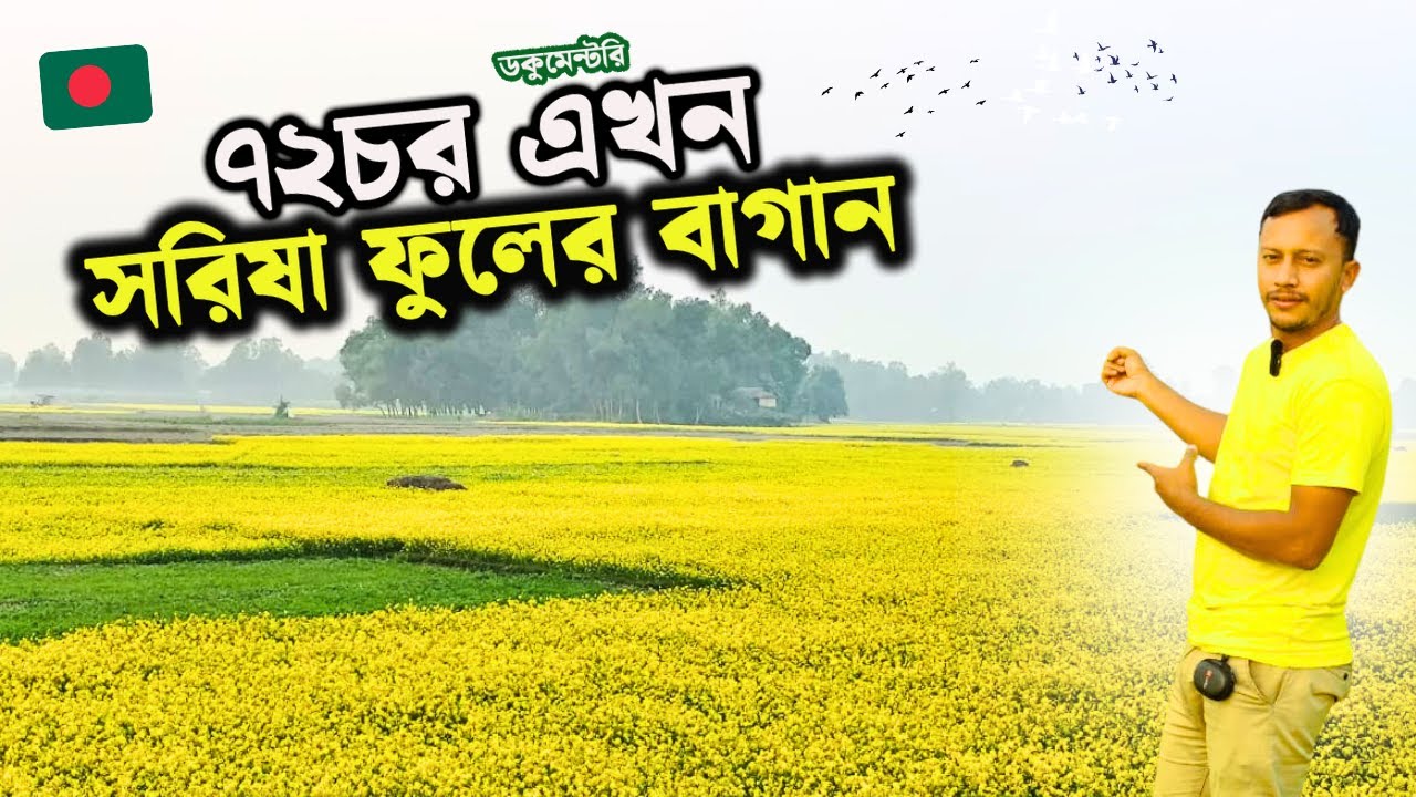 বাহাত্তর ৭২ চরে সরিষার চাষ ! | গ্রামীন জীবন | সিজন-০১ | পার্ট-০৬ | village farming |